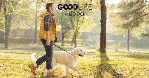 พาสัตว์เลี้ยงไปเดิน